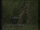 Cashmere (levluv) snapshot 1