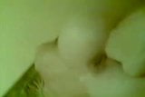 Amateur fingering her pussy bulgarian snapshot 5