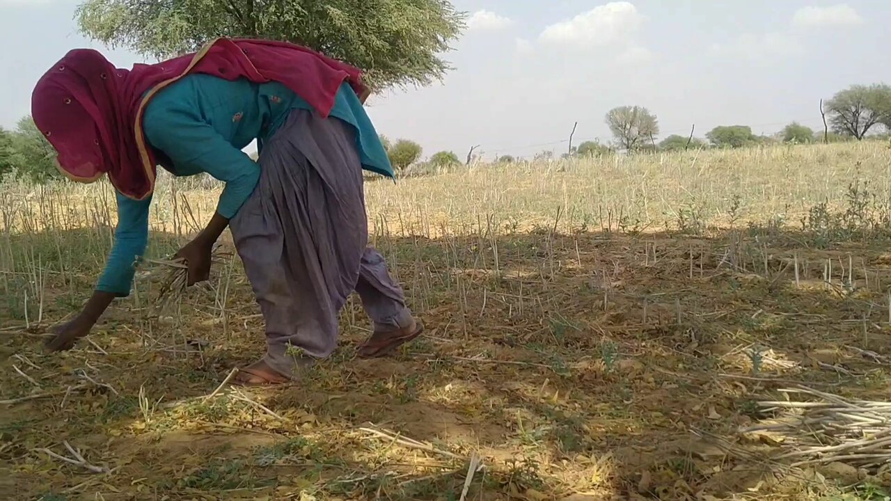 Marathi Farmer Sex Video Dounload - Bahar khet me kam rahi Ghar le ja ke salwar khol ke choda | xHamster