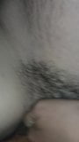 Hairy snapshot 1