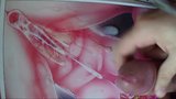 Buta Hime Gaping Anus Slut Bukkake snapshot 2