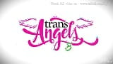 Testen Sie Ihre Waren Transangels snapshot 2