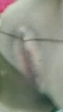 穆斯林穆斯林阿拉伯女孩用黄瓜操她的肛门和阴户 snapshot 1