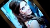 Jessica Lowndes Cum Tribute snapshot 1