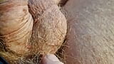 The final episode of hairy balls snapshot 2