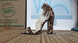 Leopard heel snapshot 2