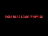 Hard Labor Whipping snapshot 1