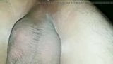 Sexy Gay Cock 240 snapshot 5