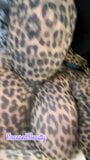 Leopard Pantyhose Encasement snapshot 3