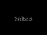 Strafbock, Lederpaddel, Badebürste, Rohrstock snapshot 1