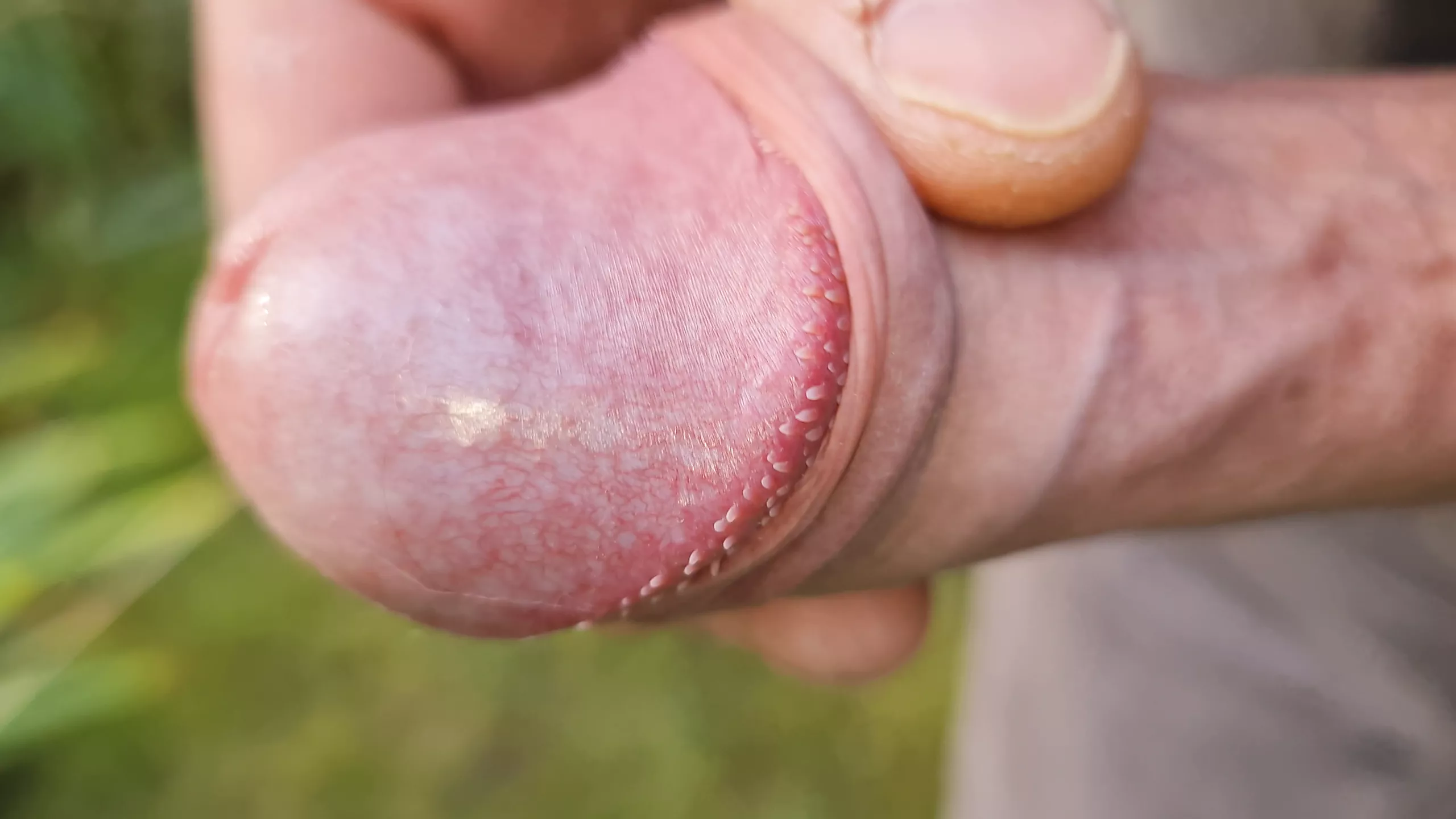 ao-ar-livre-ejacula-o-close-up-xhamster