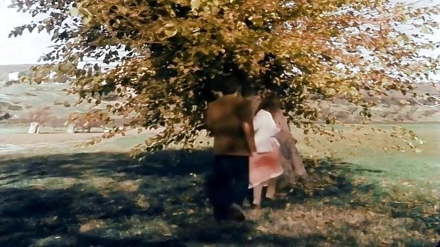 The Tavern of Melancholy (1980): A Journey through the Darkness of Youth