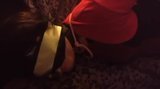 Sissy Lory hogtied snapshot 1