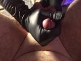 Cock and Ball Torture snapshot 6