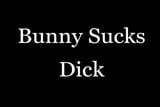 Bunny sucks dick snapshot 1