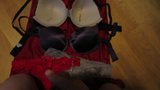 Cum on pushup bras and thongs snapshot 4