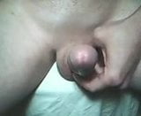 Cumming sone snapshot 5