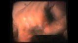 Гей винтаж в 50-х - разные клипы со спермой snapshot 2