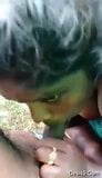 Tamilisches Paar, Outdoor-Blowjob mit Audio .. snapshot 1