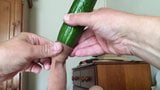 Foreskin cucumber Sunday - 2 of 9 snapshot 5