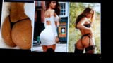 Yanet Garcia cum tributo snapshot 6