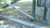 Masturbation und Orgasmus im Park in Rom - echt snapshot 13