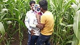 Indian Pooja Shemale Boyfrends Took A New Friends To Pooja  Corn Field Today And Three Frends Had A Lot Of Fun In Sex snapshot 3