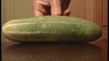 Fun With a Juicy Cucumber snapshot 1