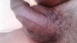 XHAMSTER VIDEO 47 snapshot 1