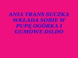 Ania Trans Suczka z ogorkiem i dildem w pupie. snapshot 1