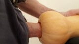 Butternut snapshot 2