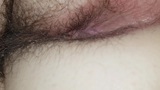 Wifes hairy ass snapshot 8