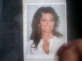 Shania Twain snapshot 8