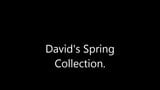 David's Spring Collection. snapshot 1