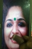 Kavya madhavan mallu 辣妈鸡巴致敬 snapshot 8