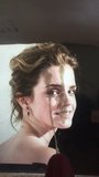 Eerbetoon aan Emma Watson 32 snapshot 2