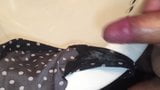 Cuming on her soiled panties snapshot 1