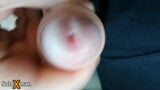 Close-up of my glans releasing the first drop of precum - SoloXman snapshot 15