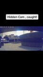 Hidden Cam, caught! snapshot 1