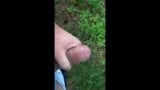 Jerking my uncut cock in public snapshot 5