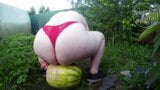 Dicker Arsch zerquetscht Wassermelone snapshot 8