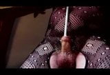 shemale transvestite nylon  sounding urethral  anal  dildo snapshot 9