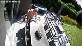 Tuincamera snapshot 3