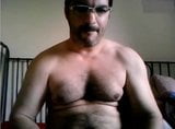 Hairy Bear snapshot 4