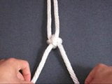 Cross Knot snapshot 9