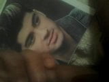 Zayn Malik - homenagem a porra snapshot 2