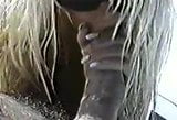 Pam Anderson and Tommy Lee sex tape snapshot 19