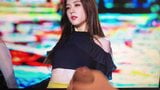 BLACKPINK Jisoo cumtribute snapshot 1