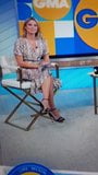 Amy Robach sexy snapshot 9