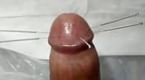 CBT needling penis snapshot 10